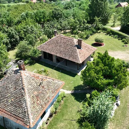 Gajica Konak-orasac *