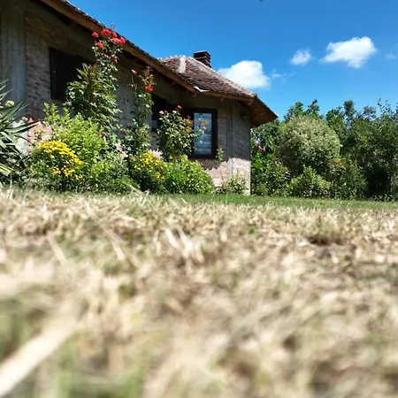 Gajica Konak-orasac * Aranđelovac