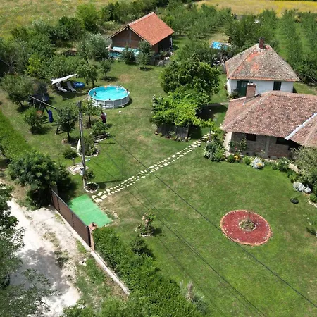 Gajica Konak-orasac *