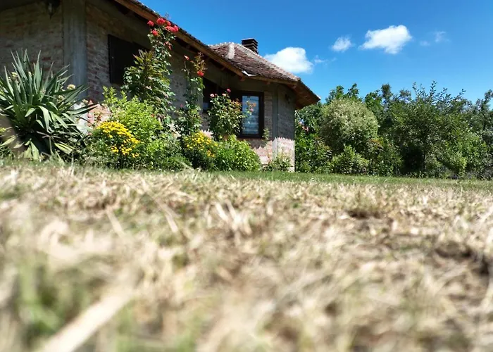 Gajica Konak-orasac * Aranđelovac