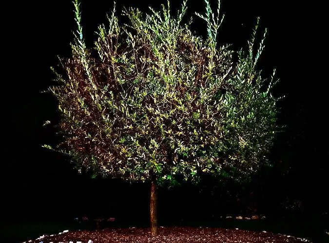 Gajica Konak-orasac Prázdninový dům