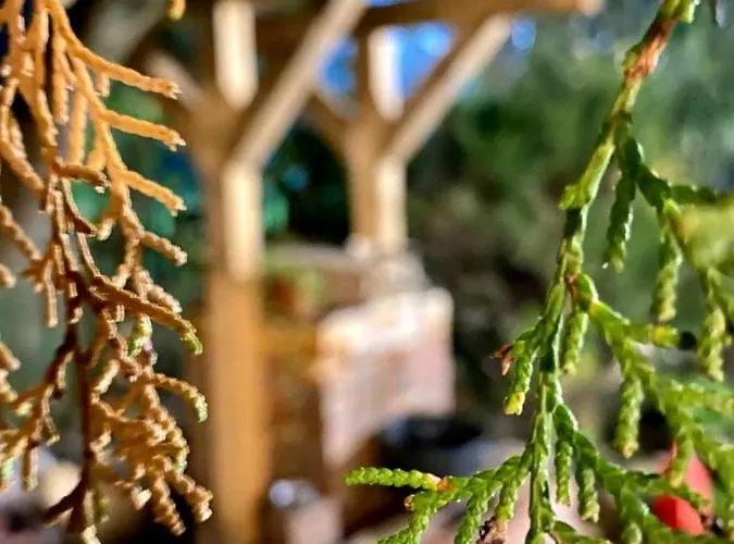 Prázdninový dům Gajica Konak-orasac *