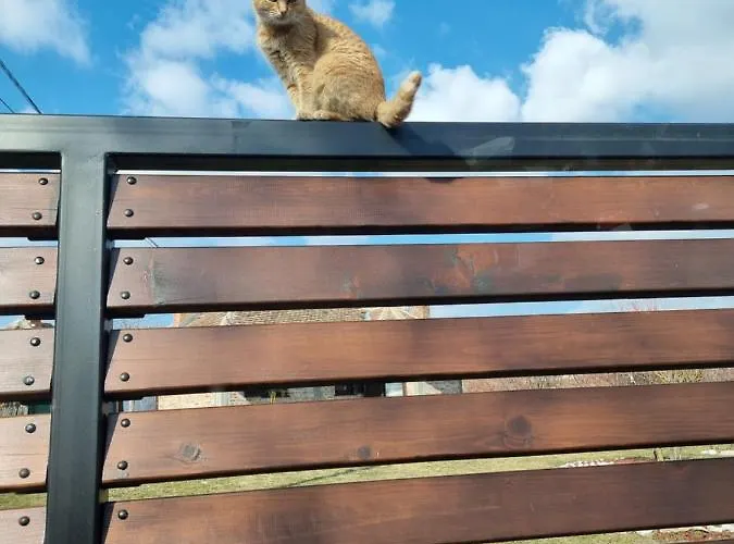 Prázdninový dům Gajica Konak-orasac *