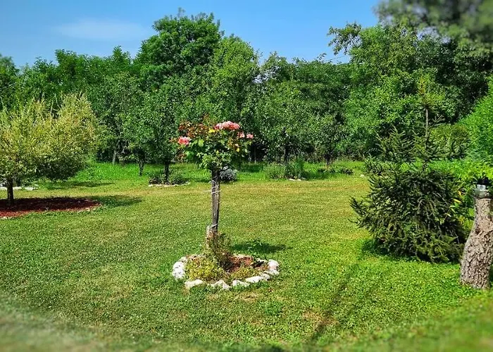 Prázdninový dům Gajica Konak-orasac *